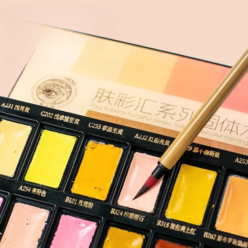 12color Skin Color Solid Water - огляд і ціна Watercolor Paint Set Solid Pigment