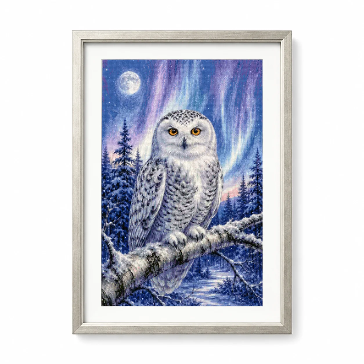 [ZZ8820-Winter Watch Owl] | Be - огляд і ціна Cross Stitch Stamped Kits Beginners